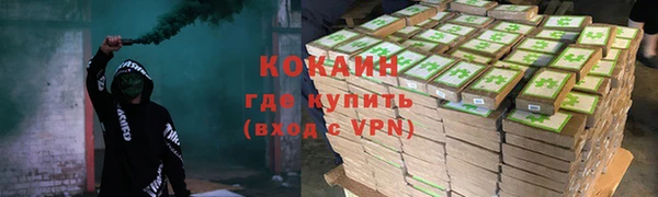 стаф Белокуриха