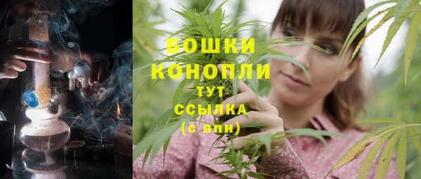стаф Белокуриха