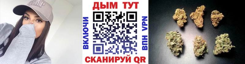 kraken как войти  Сорск  Бошки марихуана Amnesia 